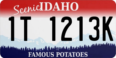 ID license plate 1T1213K