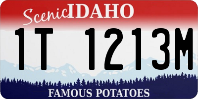 ID license plate 1T1213M