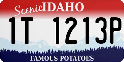 ID license plate 1T1213P