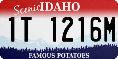 ID license plate 1T1216M