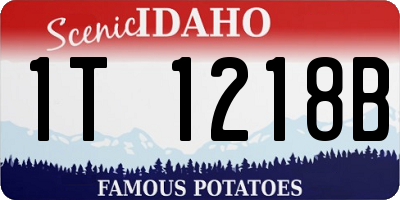 ID license plate 1T1218B