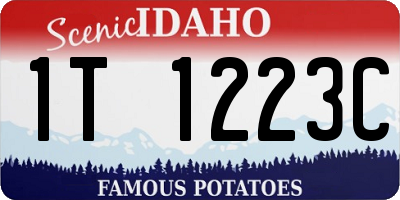ID license plate 1T1223C