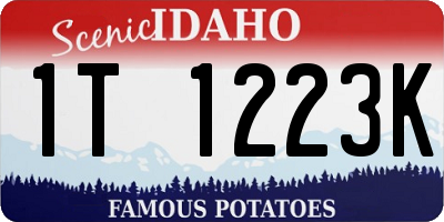 ID license plate 1T1223K