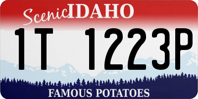 ID license plate 1T1223P