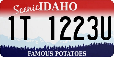 ID license plate 1T1223U