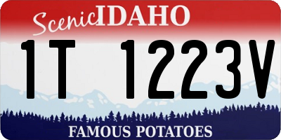 ID license plate 1T1223V