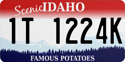 ID license plate 1T1224K