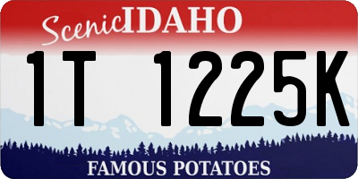 ID license plate 1T1225K