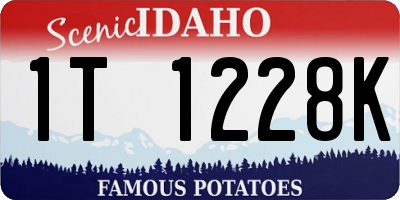 ID license plate 1T1228K