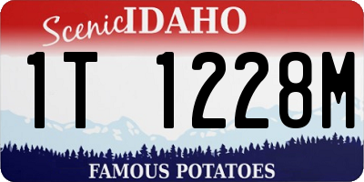 ID license plate 1T1228M