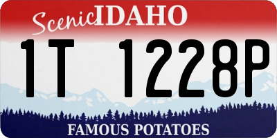 ID license plate 1T1228P