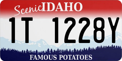 ID license plate 1T1228Y