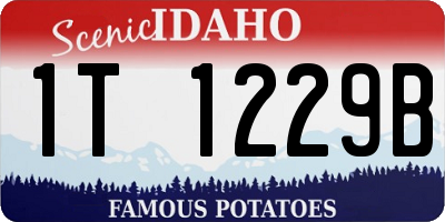 ID license plate 1T1229B