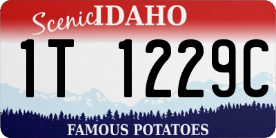 ID license plate 1T1229C
