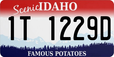 ID license plate 1T1229D