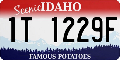 ID license plate 1T1229F