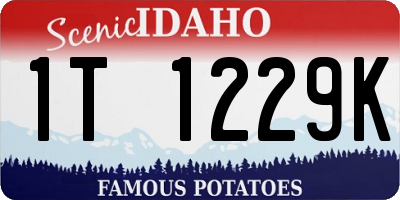 ID license plate 1T1229K