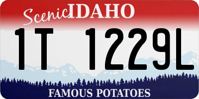 ID license plate 1T1229L