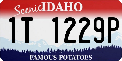 ID license plate 1T1229P