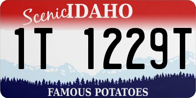 ID license plate 1T1229T