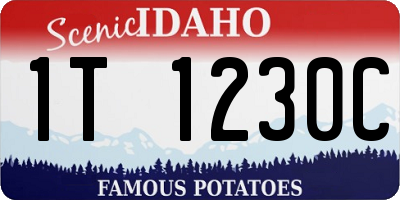 ID license plate 1T1230C
