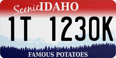 ID license plate 1T1230K