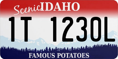 ID license plate 1T1230L