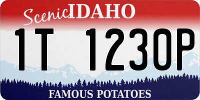 ID license plate 1T1230P