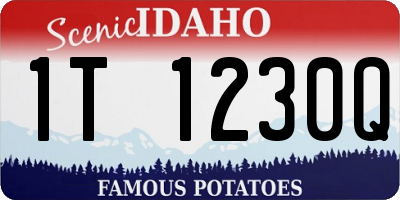 ID license plate 1T1230Q