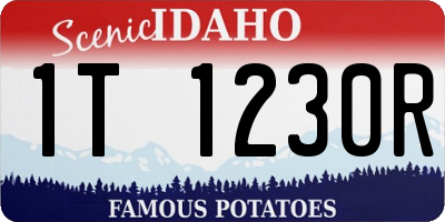 ID license plate 1T1230R