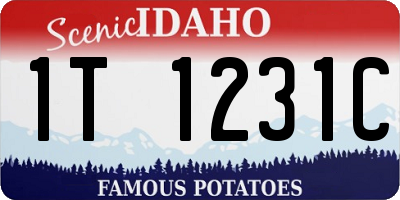 ID license plate 1T1231C