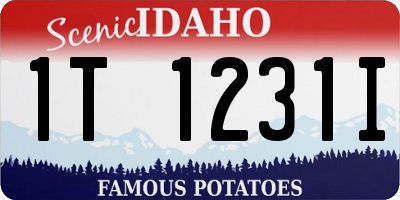 ID license plate 1T1231I