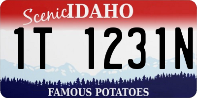 ID license plate 1T1231N