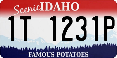 ID license plate 1T1231P
