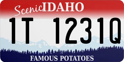 ID license plate 1T1231Q