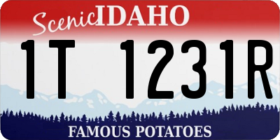 ID license plate 1T1231R