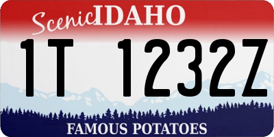 ID license plate 1T1232Z