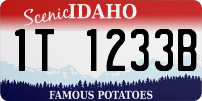ID license plate 1T1233B