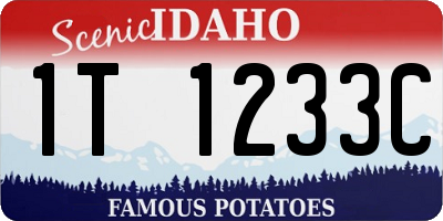 ID license plate 1T1233C