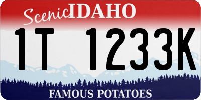 ID license plate 1T1233K