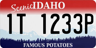 ID license plate 1T1233P