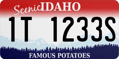 ID license plate 1T1233S