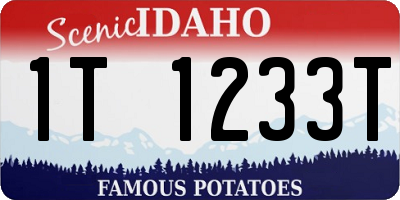 ID license plate 1T1233T