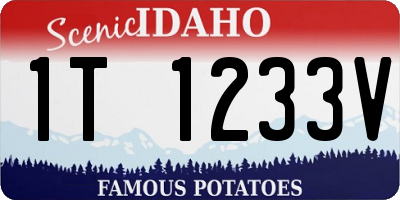 ID license plate 1T1233V