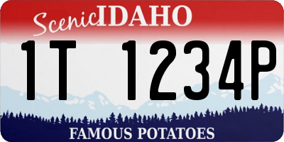 ID license plate 1T1234P