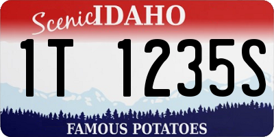 ID license plate 1T1235S