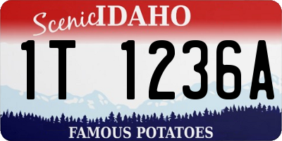 ID license plate 1T1236A