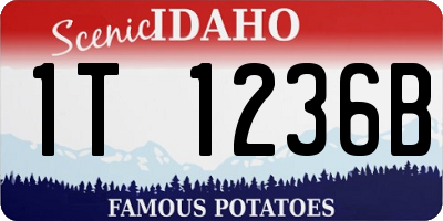 ID license plate 1T1236B