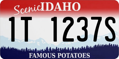 ID license plate 1T1237S