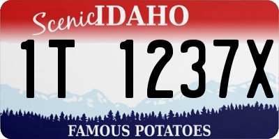 ID license plate 1T1237X